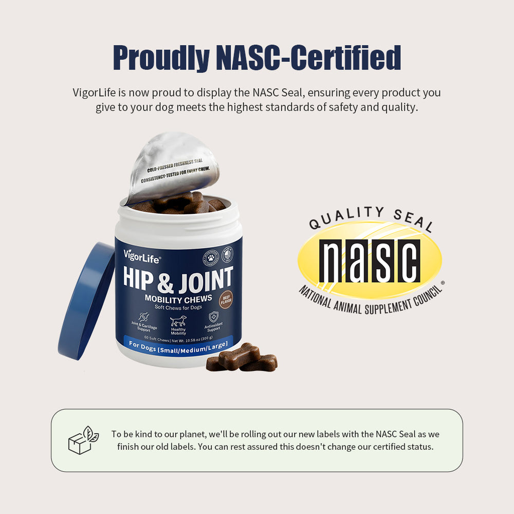 Advanced Hip & Joint Support — Daily Soft Chews for Easier Movement - My Store