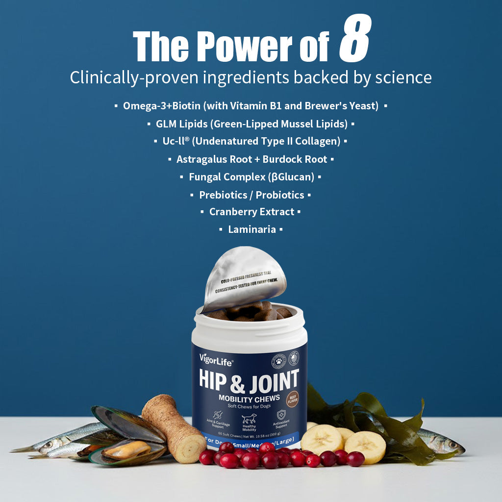 Advanced Hip & Joint Support — Daily Soft Chews for Easier Movement - My Store