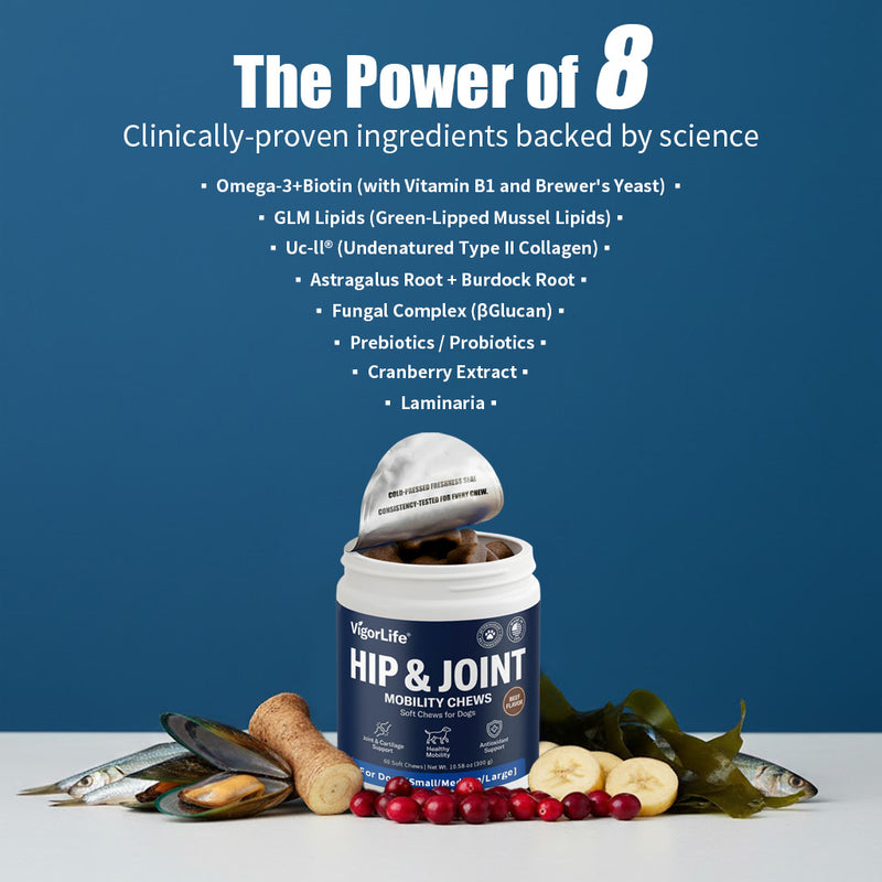 Advanced Hip & Joint Support — Daily Soft Chews for Easier Movement - My Store