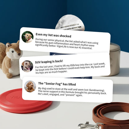 Advanced Hip & Joint Support — Daily Soft Chews for Easier Movement - My Store