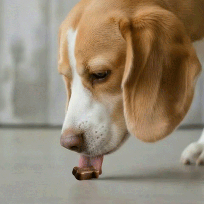 Advanced Hip & Joint Support — Daily Soft Chews for Easier Movement - My Store